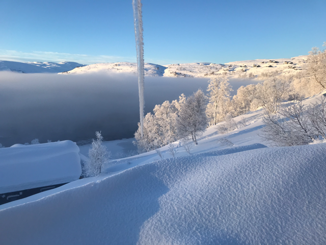 Private bilder. Galleribilde