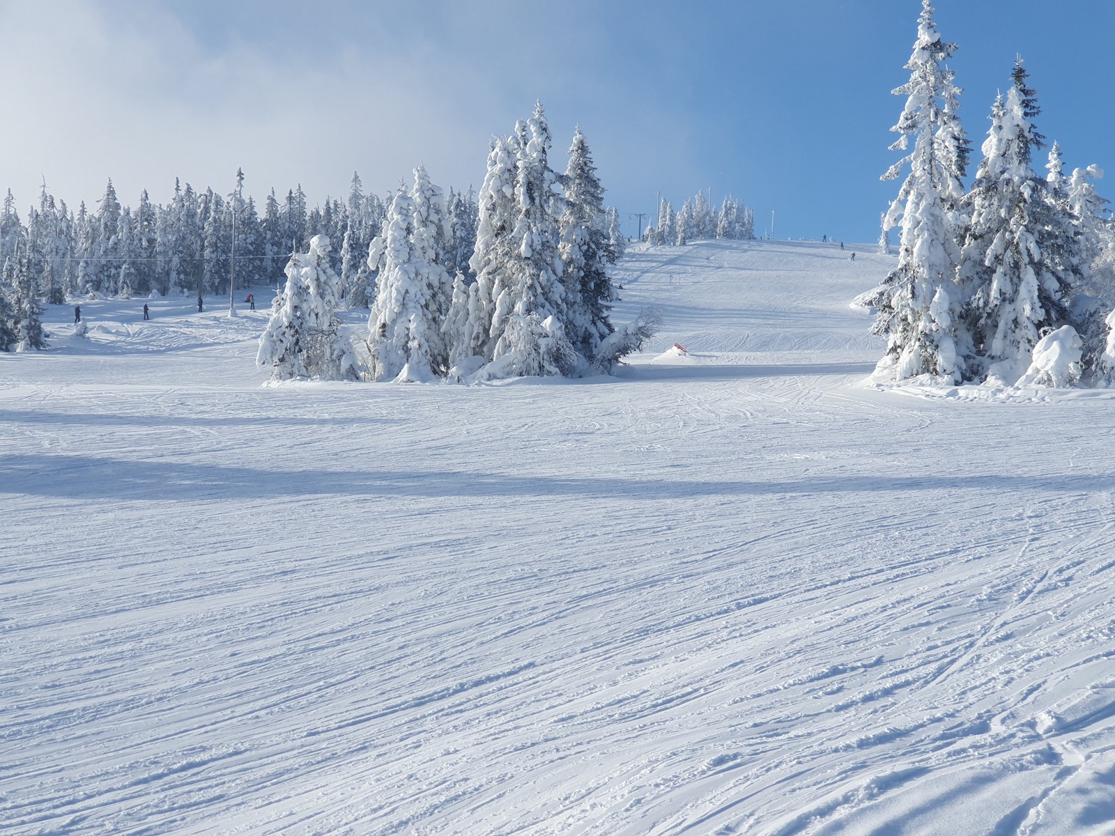 Bilde fra alpinbakken Galleribilde
