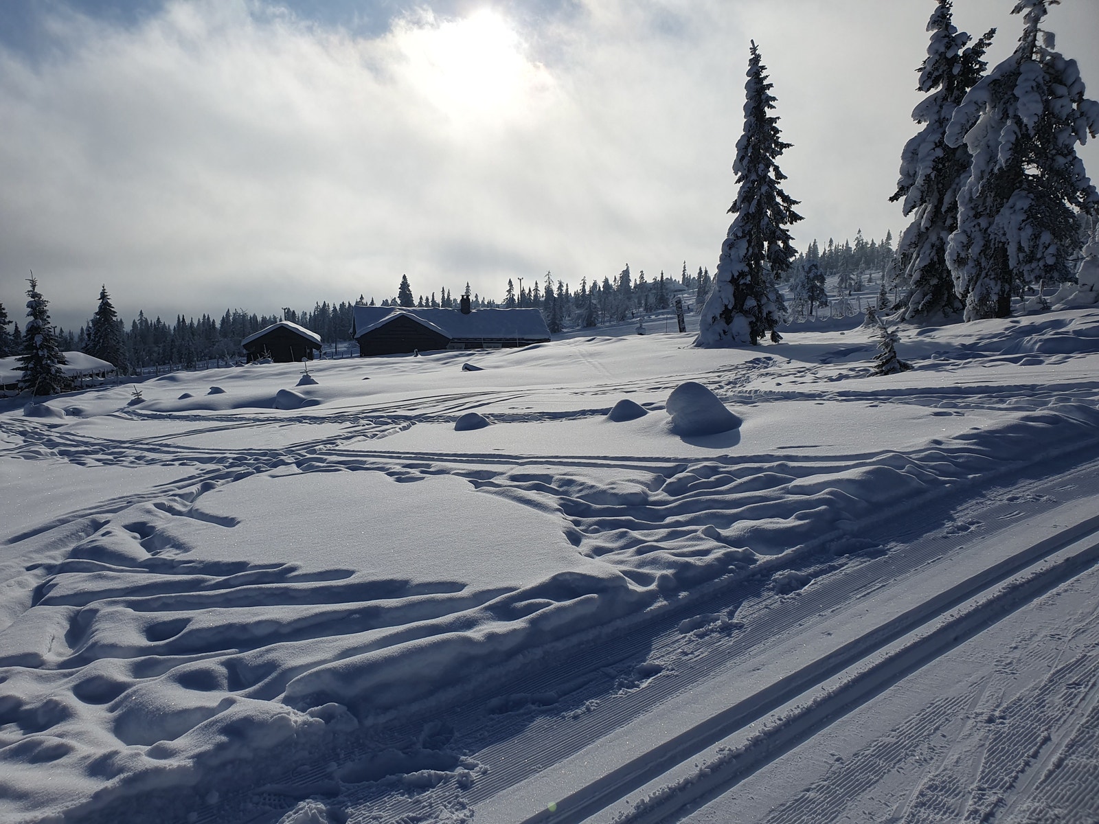 Utsikt retning alpinbakken med skiløypa bak tomta Galleribilde