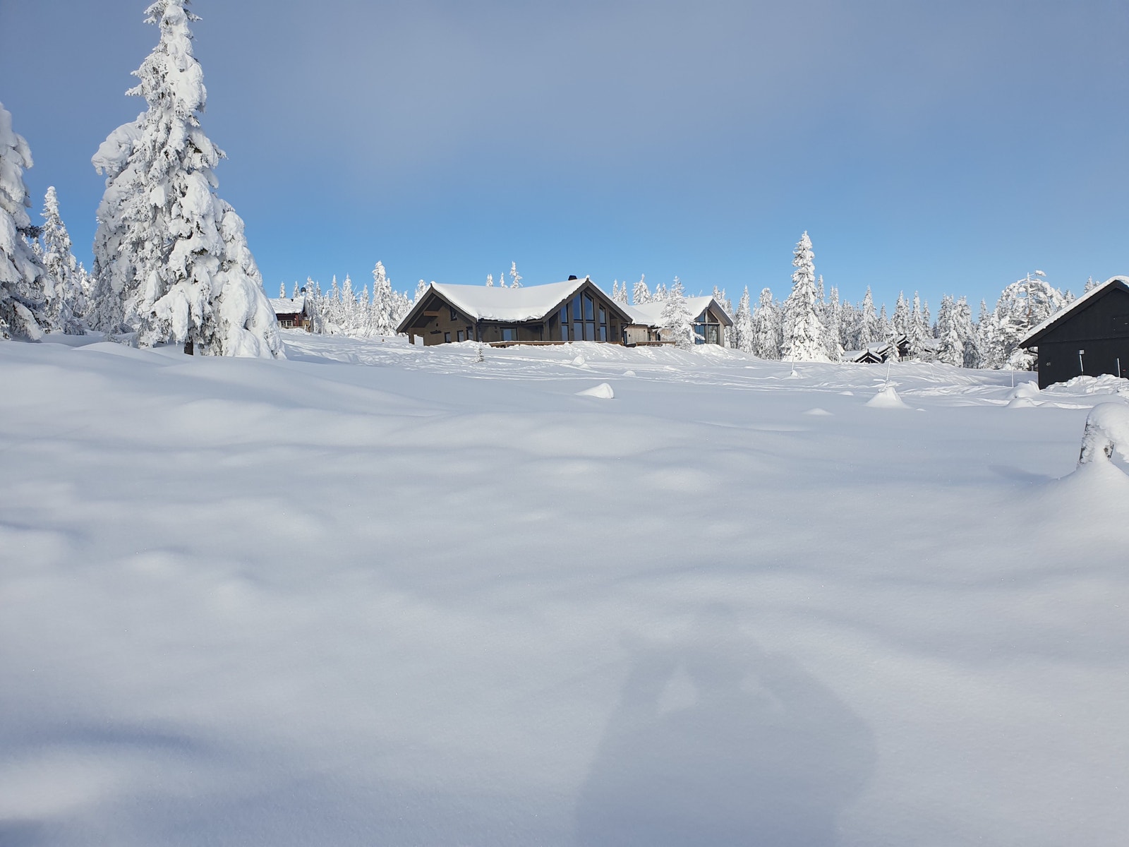 Ca midt i bildet er festepunktet på tomta Galleribilde