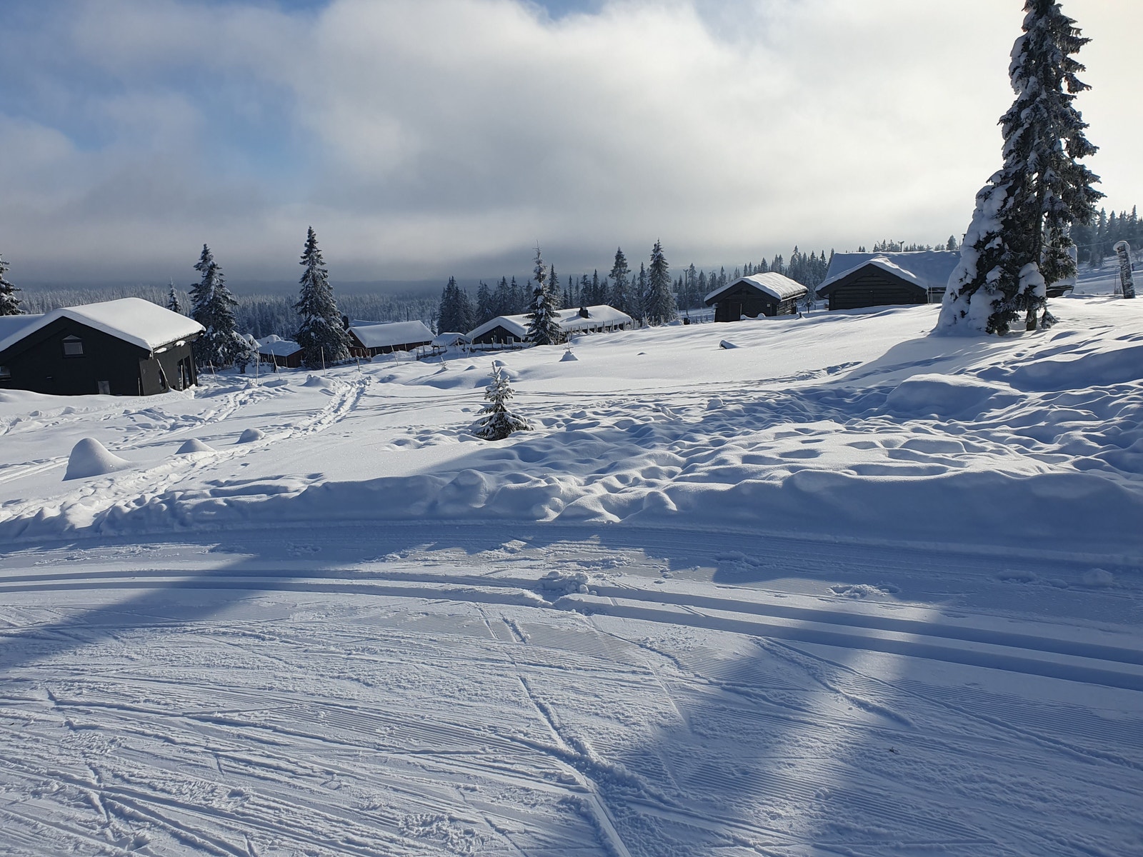 Langrennsløypa som bringer deg ut på Hedmarksvidda går rett bak tomta Galleribilde