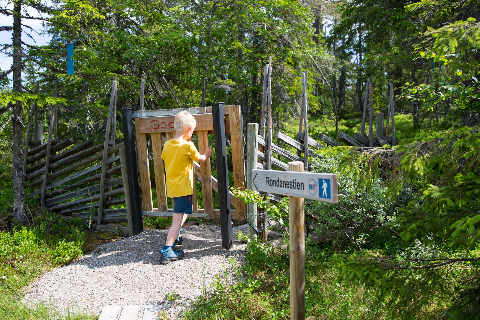 Koiedalen har mange aktiviteter for barn i alle aldre. Rondanestien går forbi Budor. Galleribilde