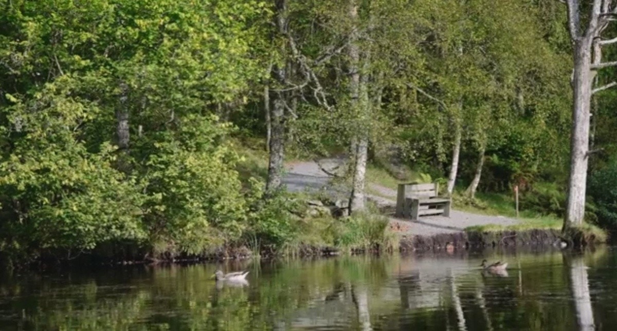 Siljustøl turområde i nærheten. Galleribilde