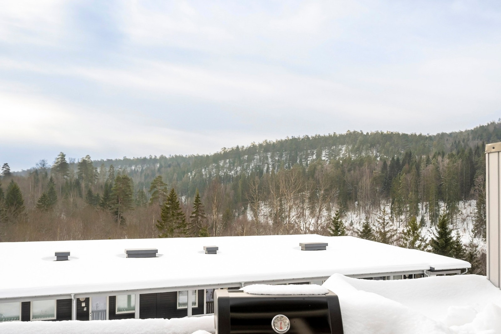 Utsikt. Galleribilde