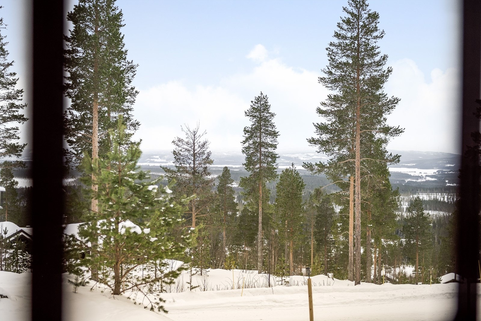 Beliggenheten i høyden sørger for nydelig utsikt over vakker natur! Galleribilde