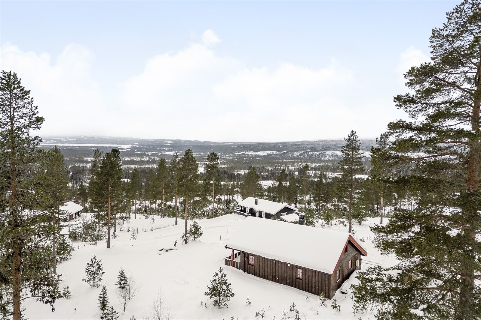 Furutangen Skisenter er alpinanlegget som ligger midt i hytteområdet på Furutangen. Bakken består av 2 heiser og 4 nedfarter. Barneheisen dekker barnebakken og dette er en flott bakke for nybegynnere i alle aldre. Galleribilde