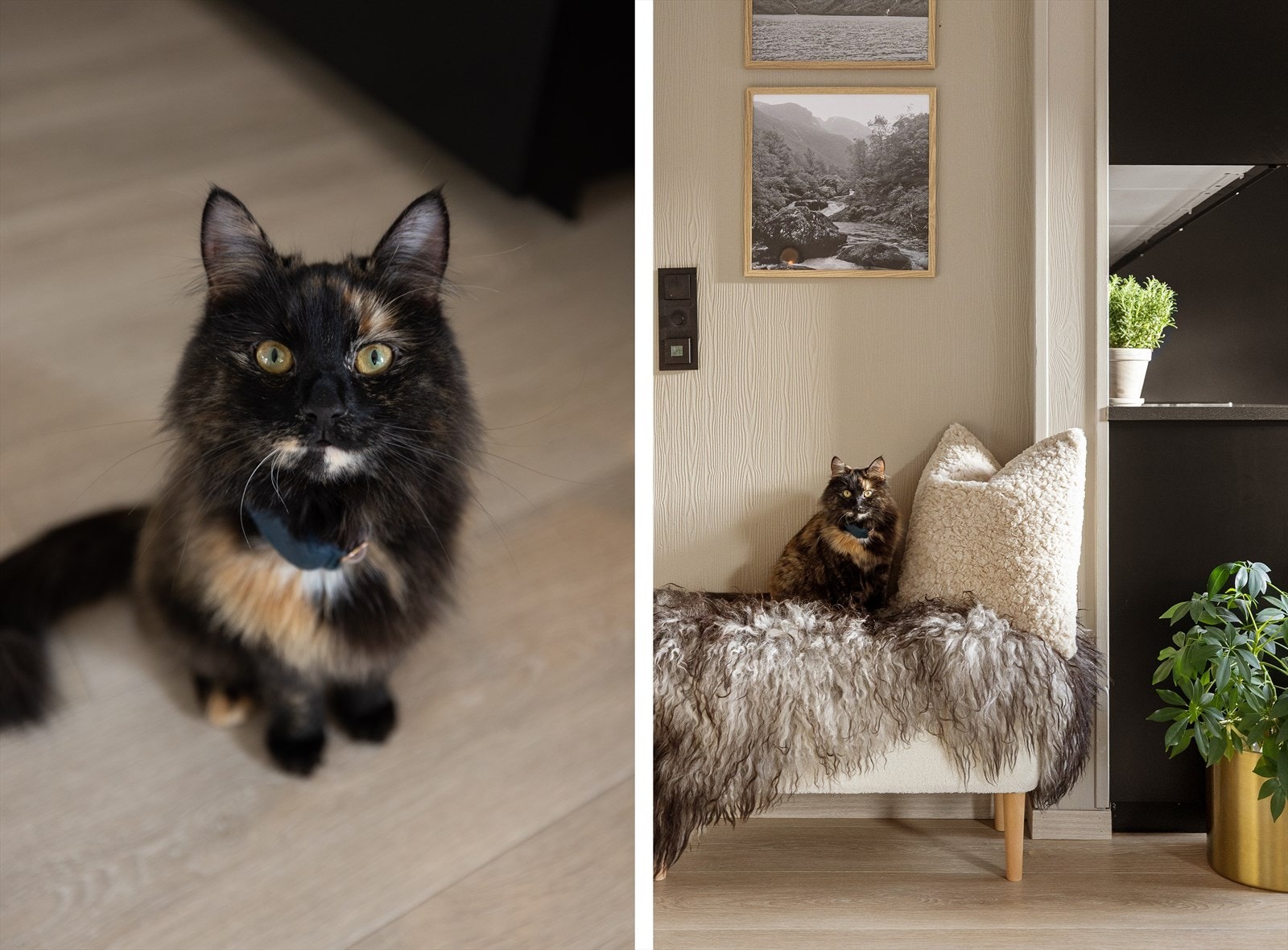 - W Eiendomsmegling Bergen - Galleribilde