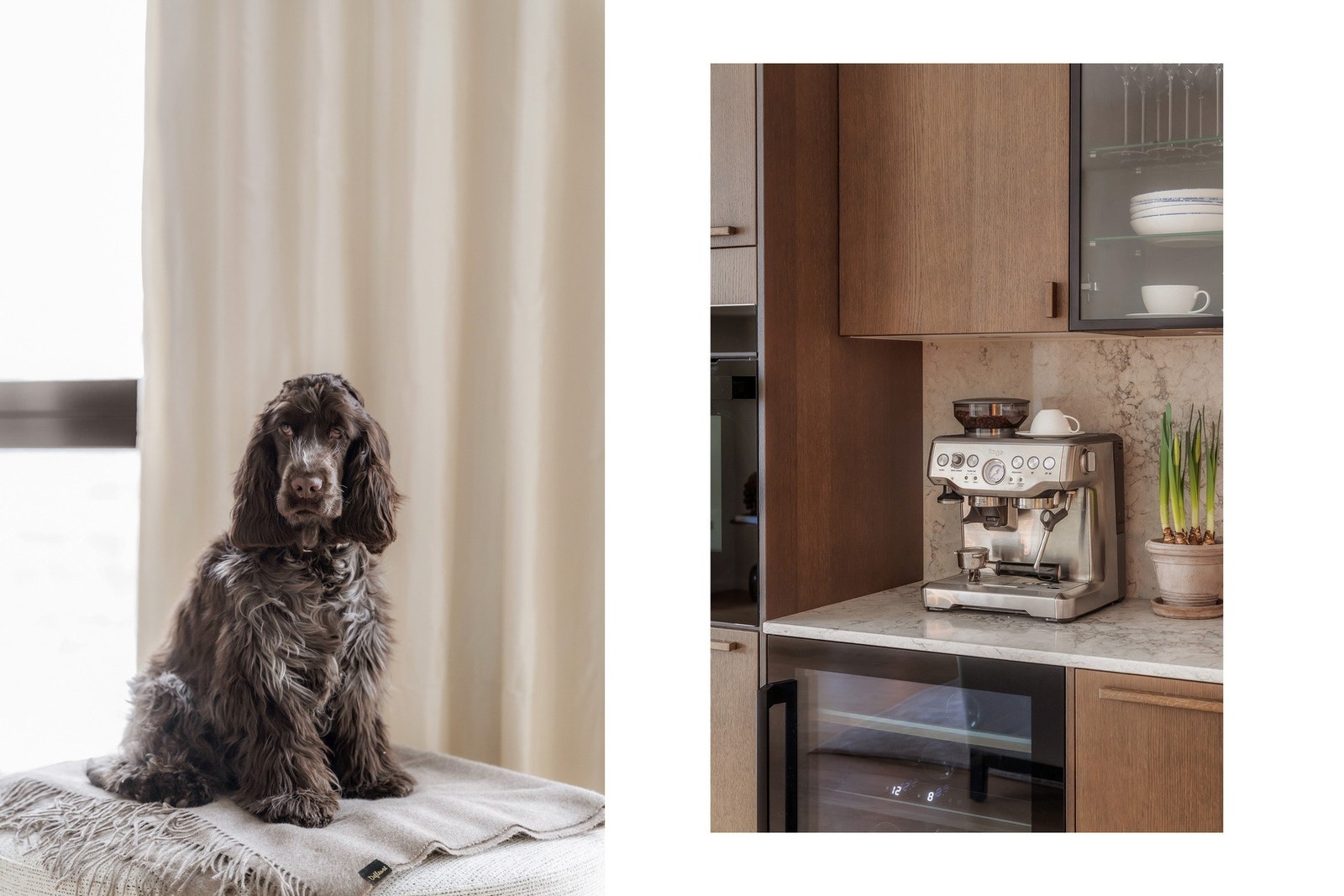 Dyrehold er tillatt. Galleribilde