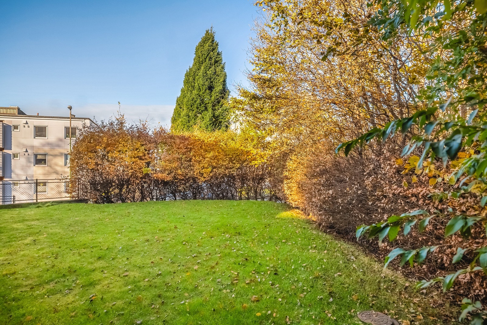 Her er det en flott hage i front. Galleribilde