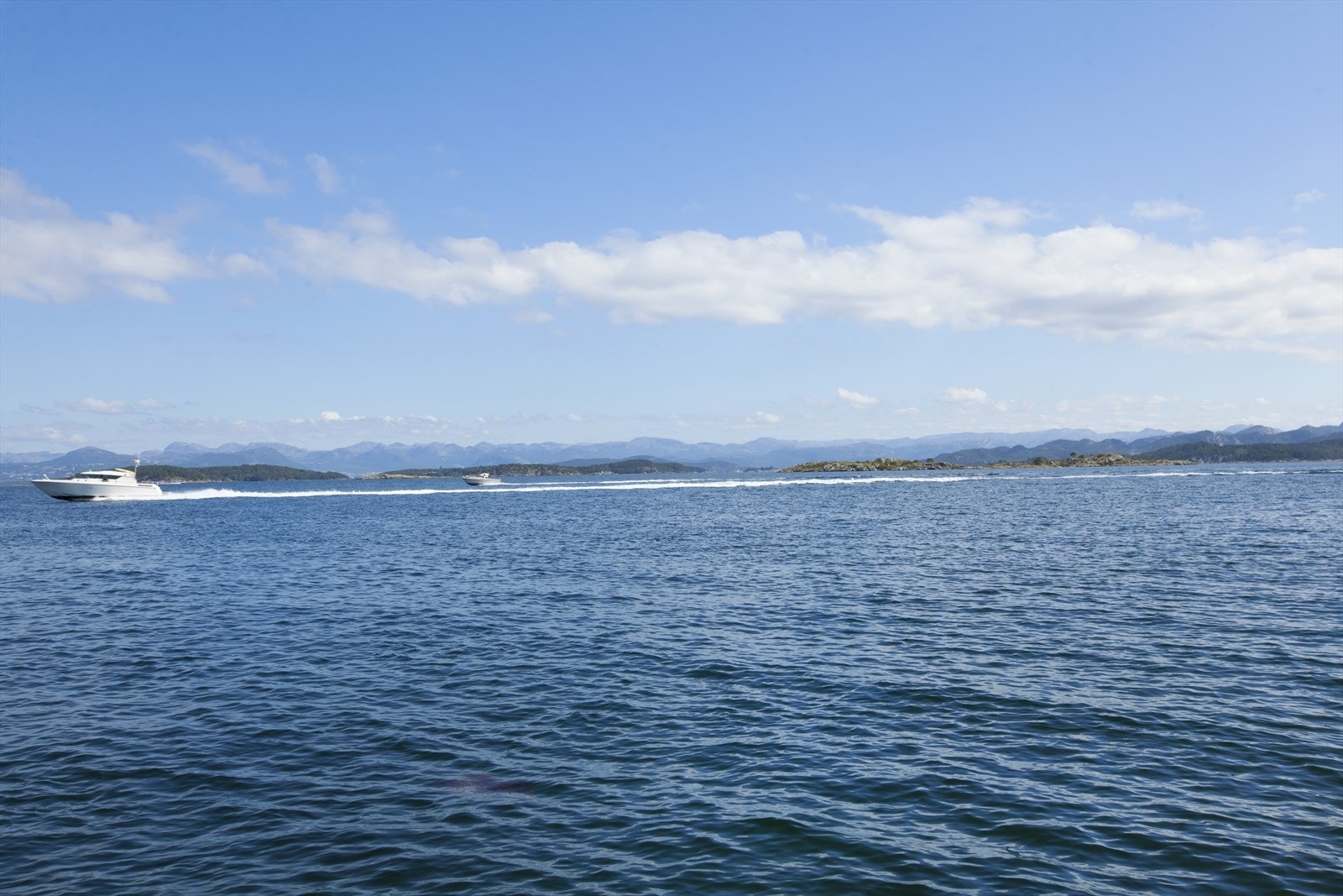 Nærområde Galleribilde