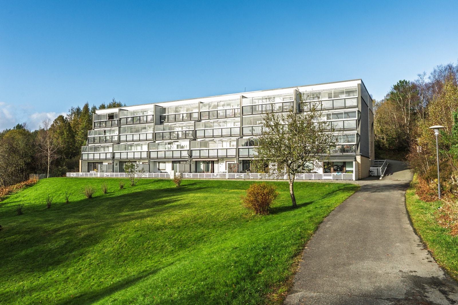 Flotte fellesområder med store grøntområder, sitteplasser og beplantning. Galleribilde