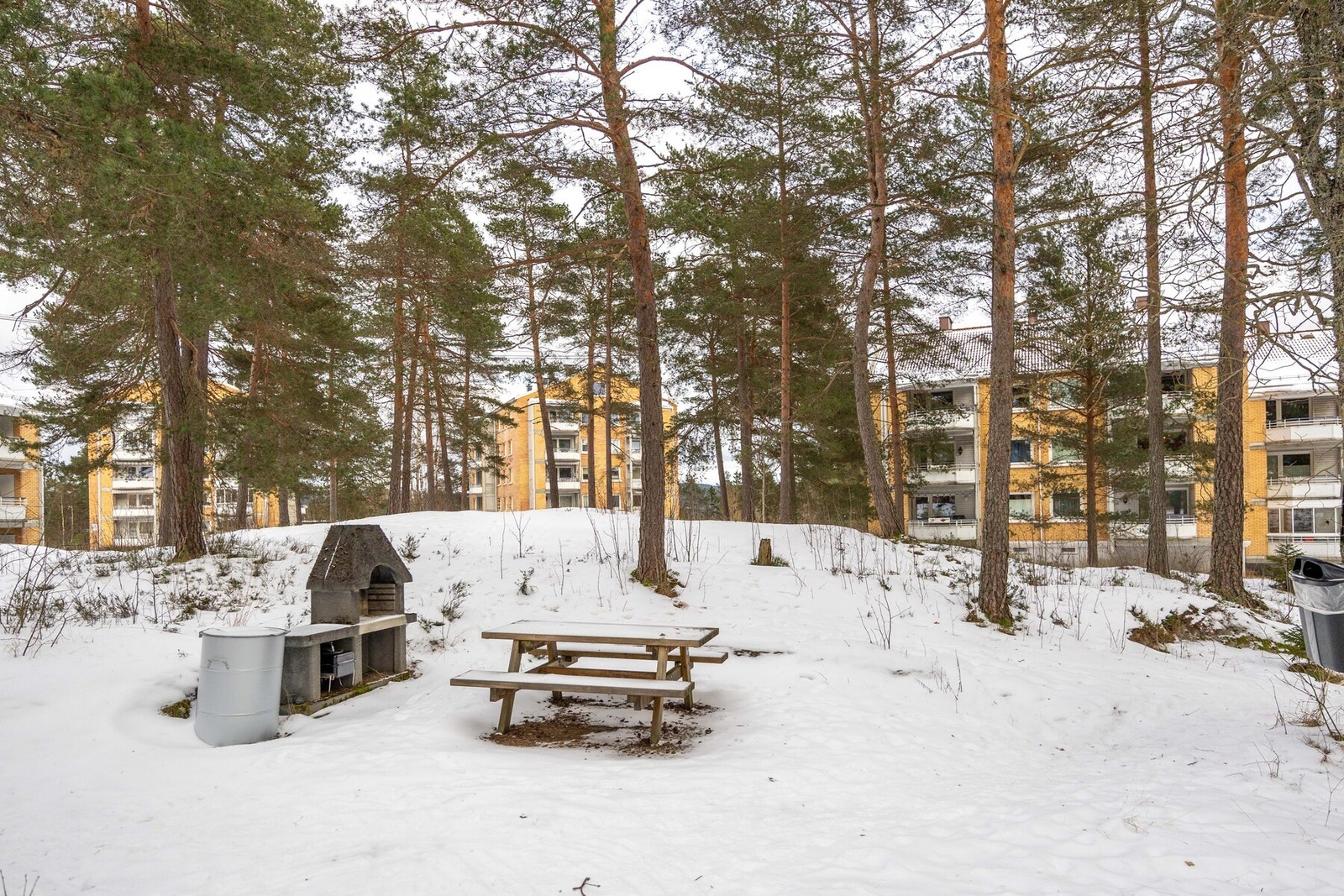 Nærområdet. Galleribilde