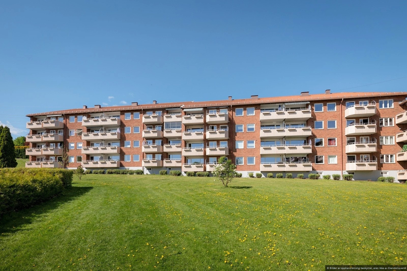 Velkommen til visning! Galleribilde