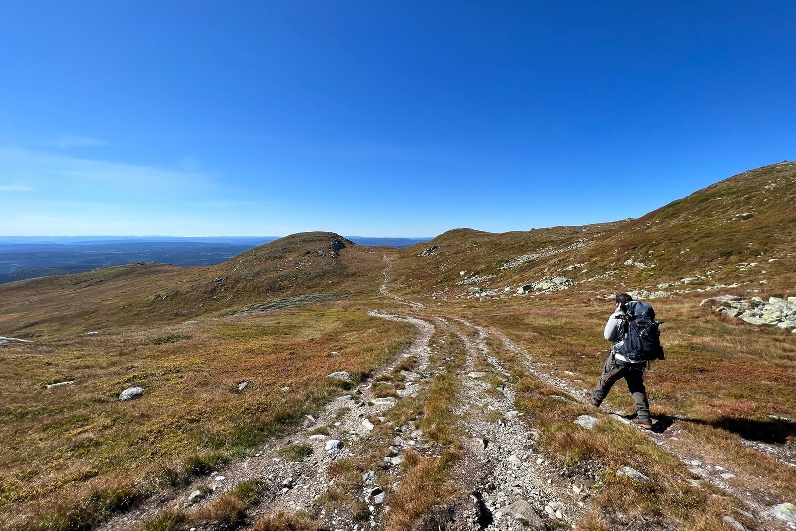 Flotte turmuligheter, her på vei ned fra Spåtind 1414moh. Galleribilde