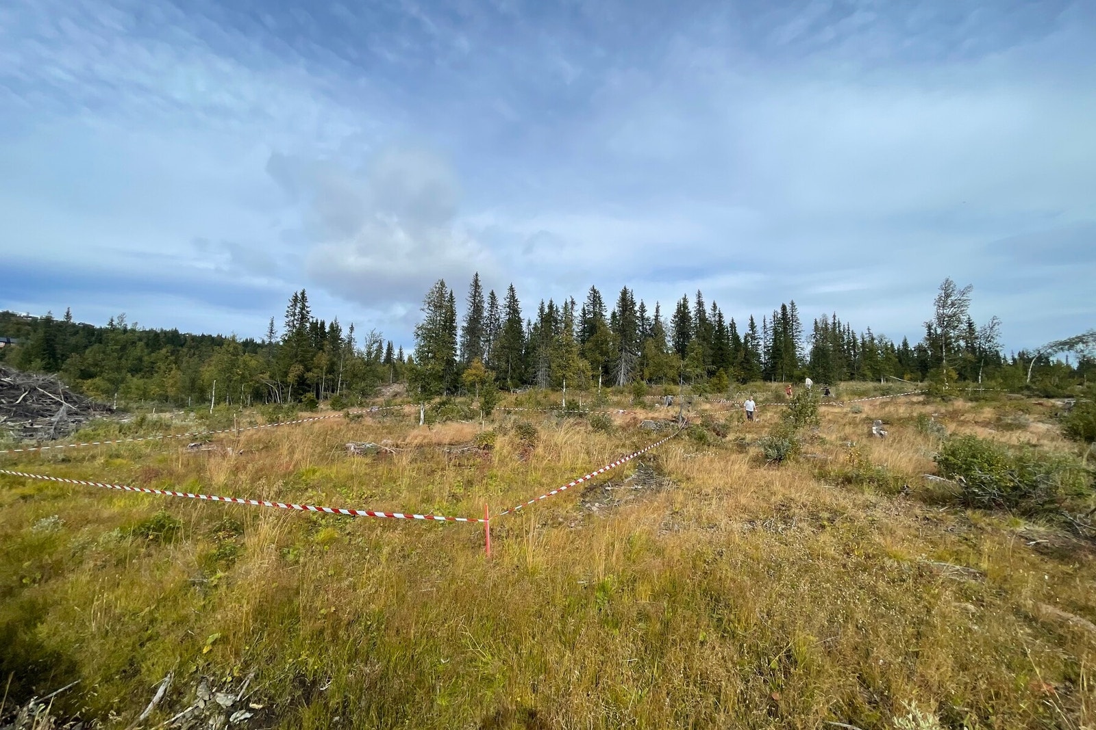 Tomt 23 markert Galleribilde