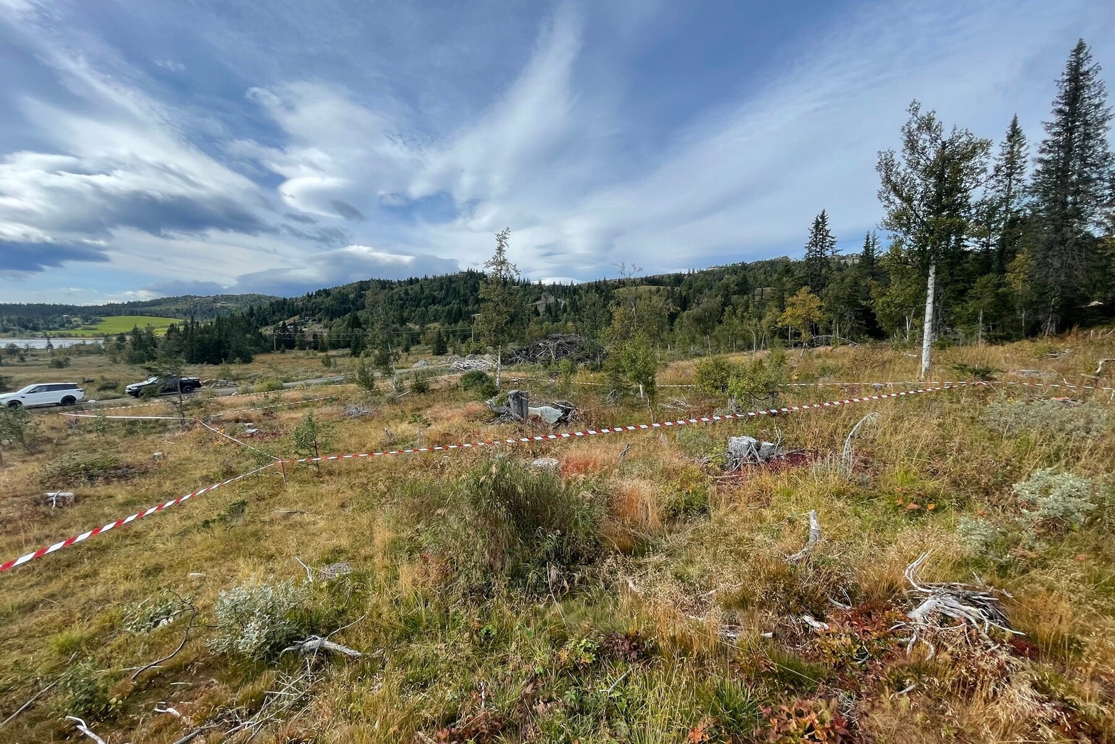 Familievennlig terreng Galleribilde