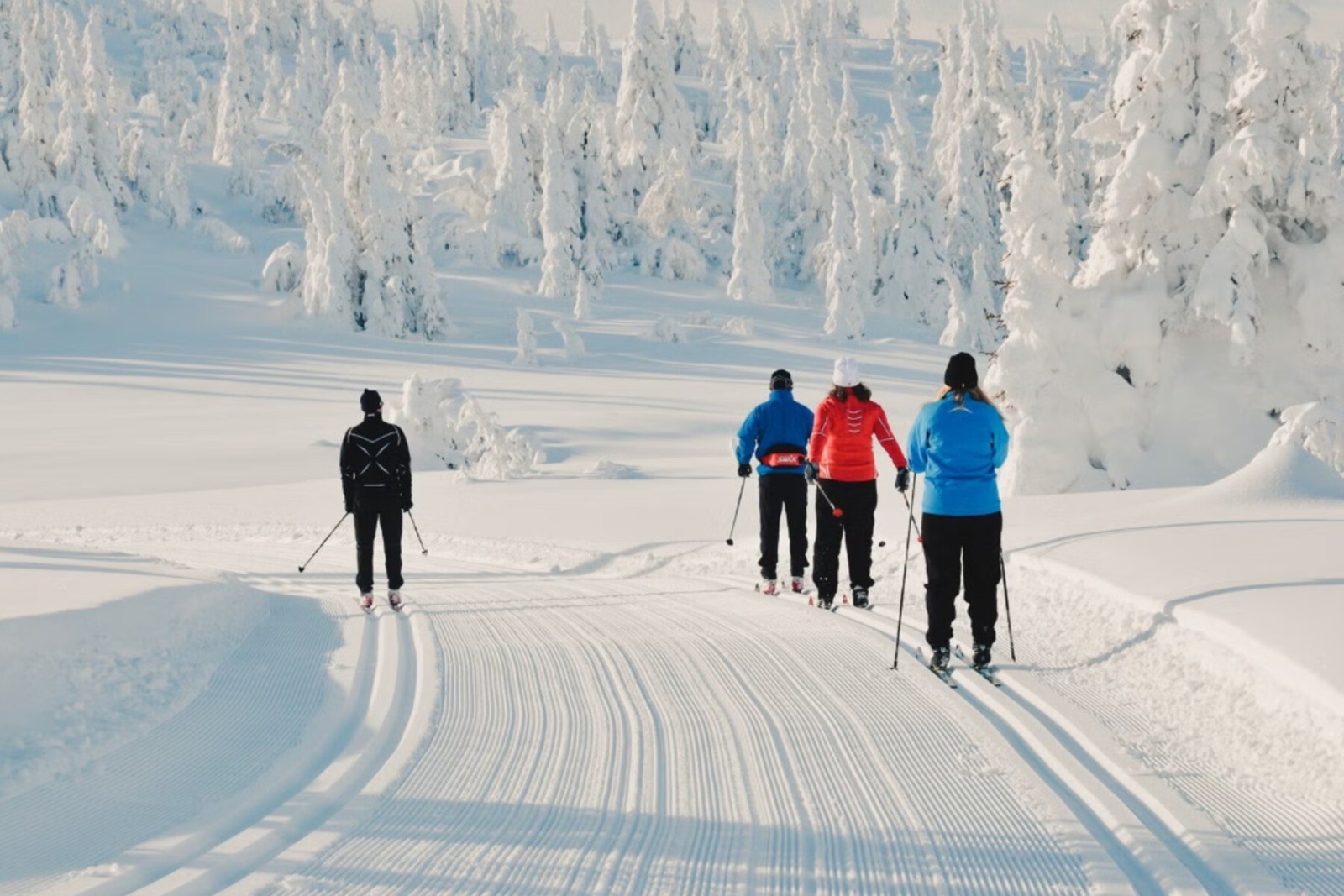 350kvm preparte langrennsløyper Galleribilde