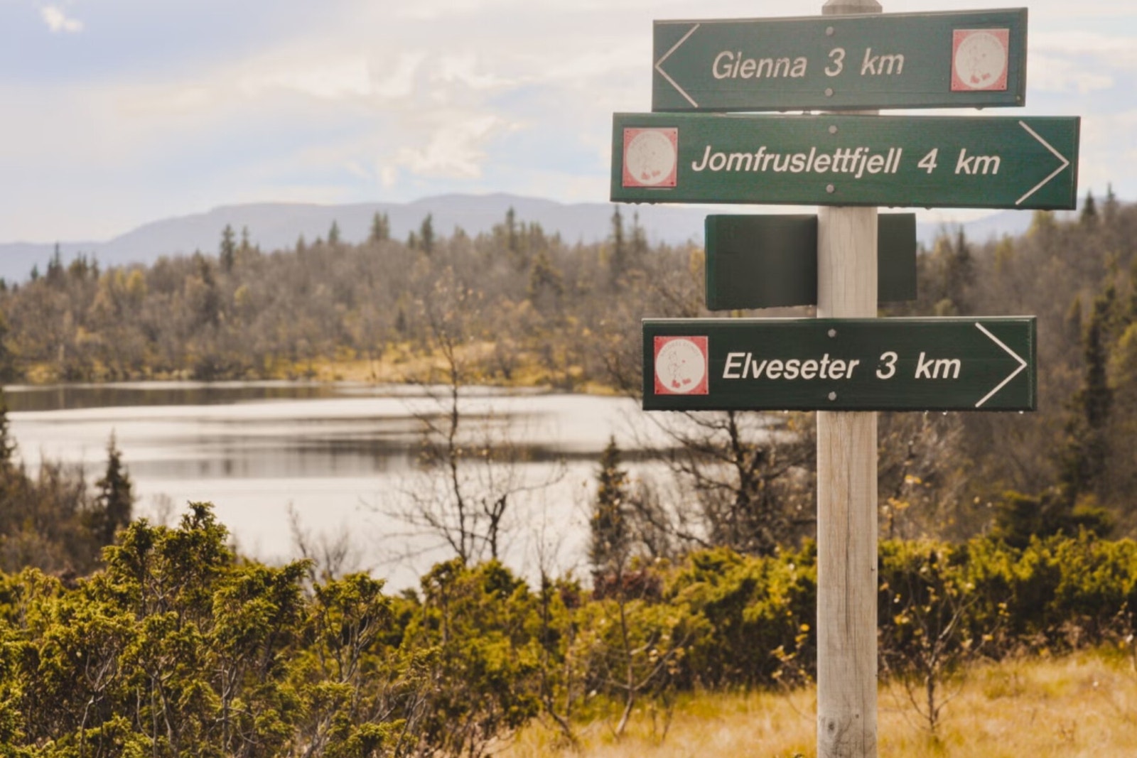 Gode turmuligheter sommer og vinter Galleribilde