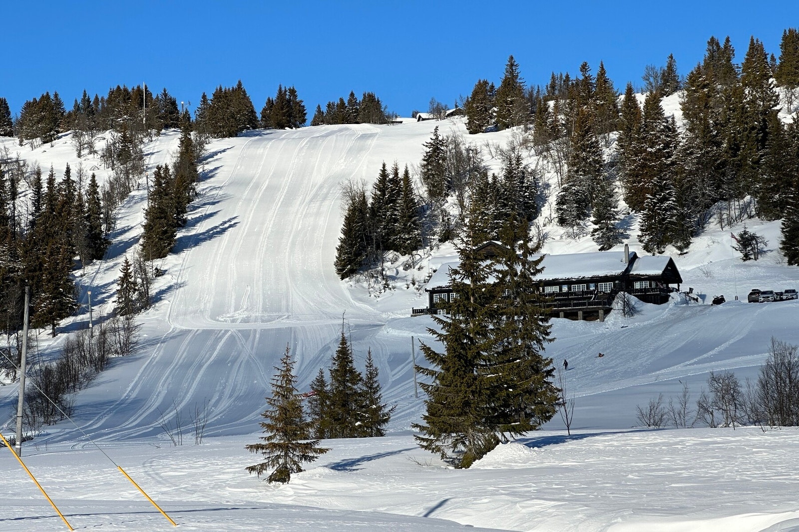 Alpinbakke med 3 nedfarter + egen barnebakke. Gangavstand fra tomtene. Galleribilde