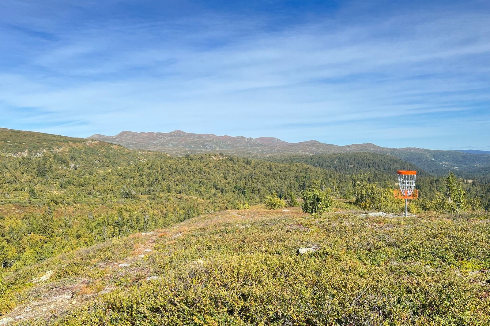 Ny frisbeegolfbane Galleribilde