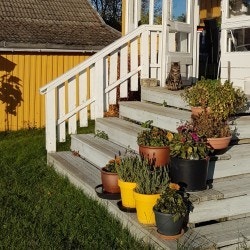 Privat bilde. Galleribilde