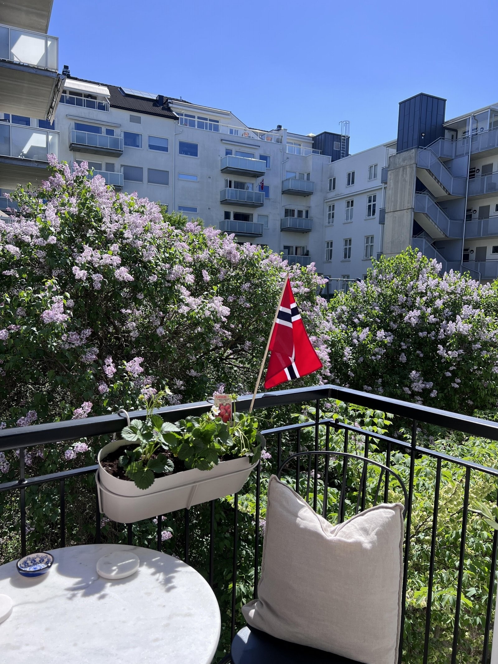 Sommerbilde tatt av eier. Galleribilde