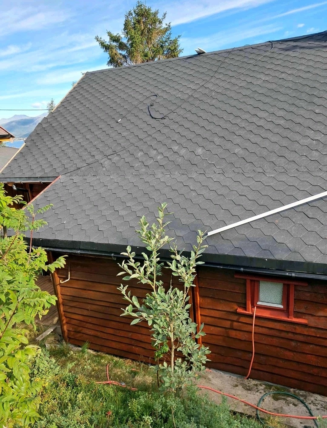 Ny pappsingel er lagt sommeren 2025. Galleribilde