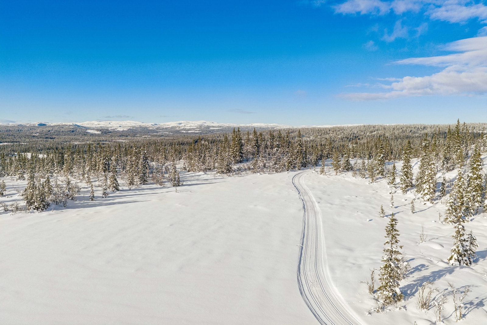 Skiløyper i nydelig landskap ikke langt fra eiendommen Galleribilde
