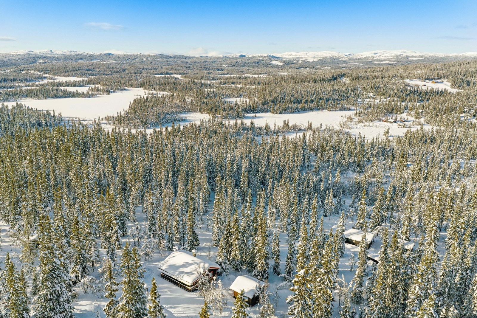 Er du glad i friluftsliv, har Teinvassåsen og Hedalen svært mye å by på. Her kan du få med deg flotte naturopplevelser i alle årstidene enten du vil ferdes for eksempel til fots, på ski, sykkel, i kano eller kajakk. Galleribilde