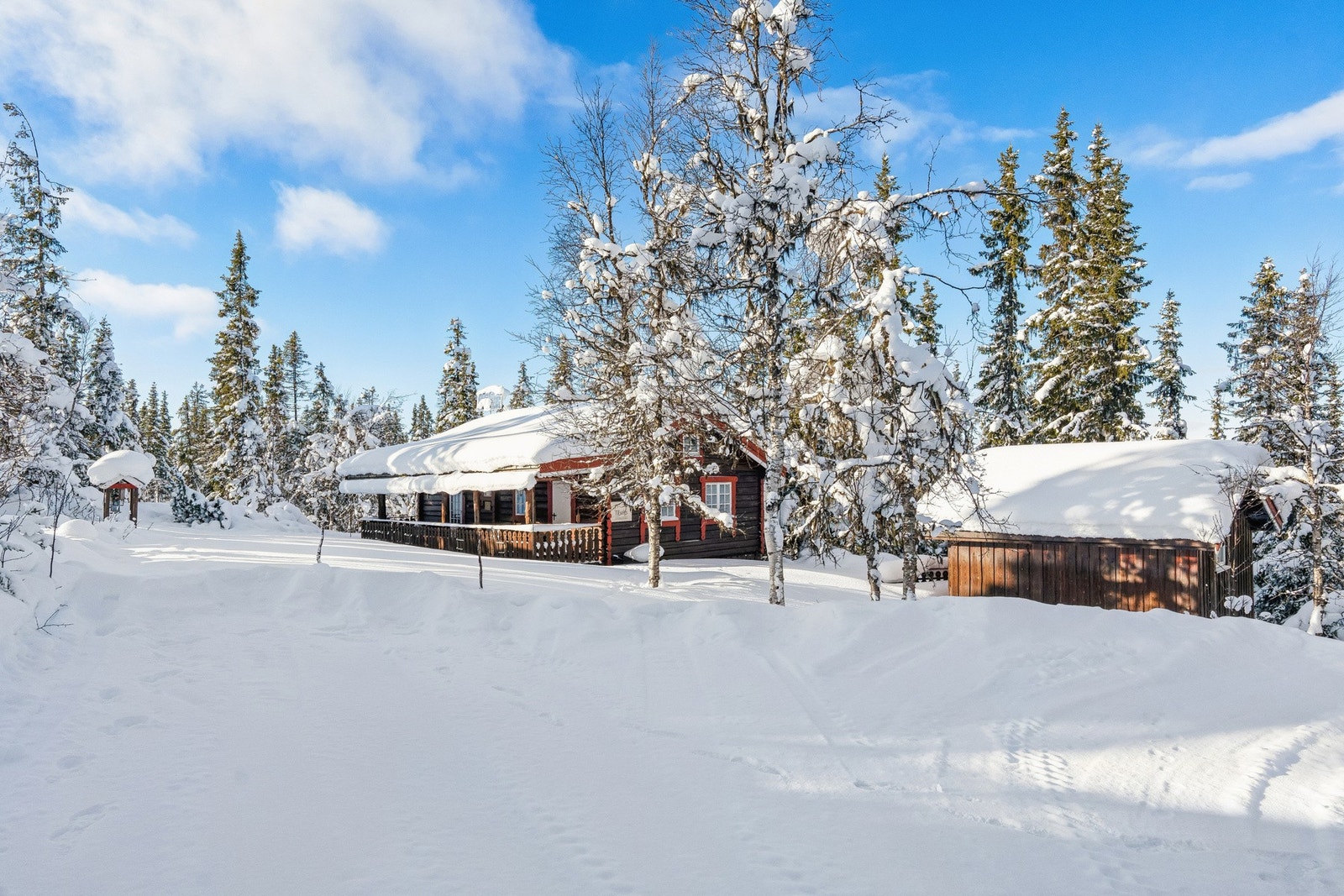 Helårsvei inn til hytta Galleribilde