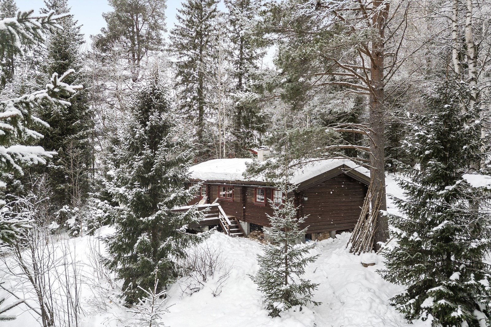 Trysilfjellet, som er ett av landets beste og største alpinanlegg med 31 heiser og 65 nedfarter ligger kun ca. 35 km fra hytta. Her finner man også Trysilfjellet Golf, som kan by på et flott anlegg med både 9 og 18-hulls bane. Galleribilde