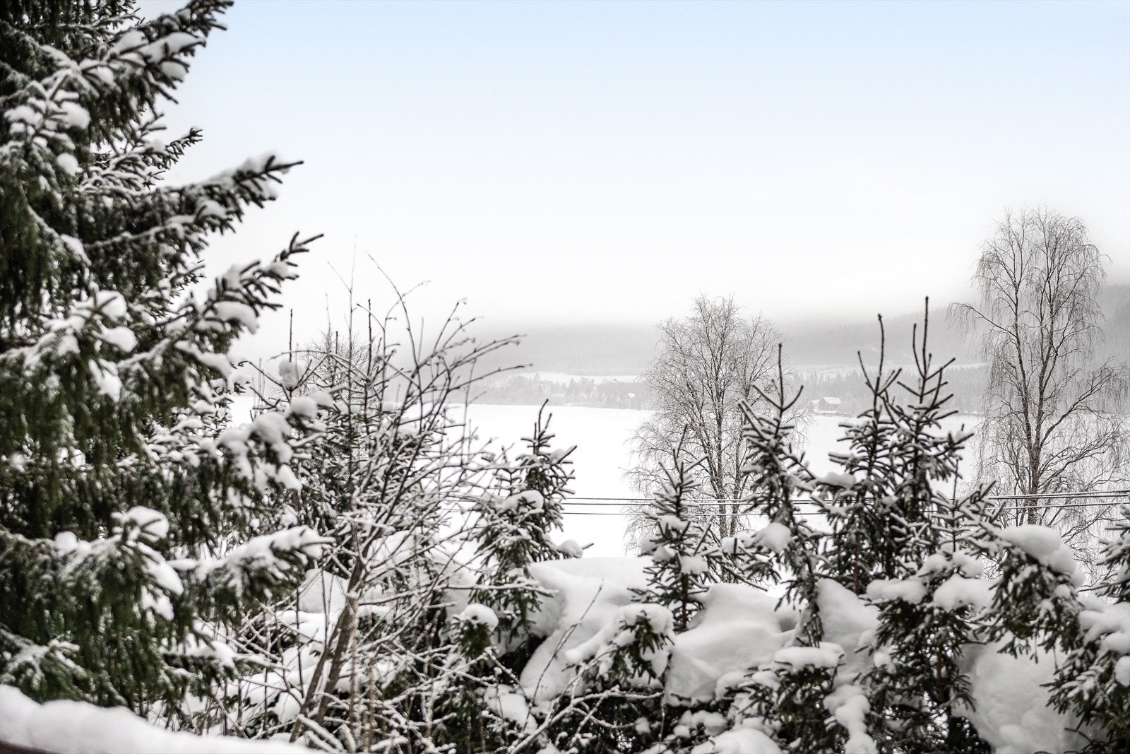 Fra hytta er det kun ca. 60m til Osensjøen som er kjent for sine naturskjønne omgivelser med flere flotte badestrender. Galleribilde