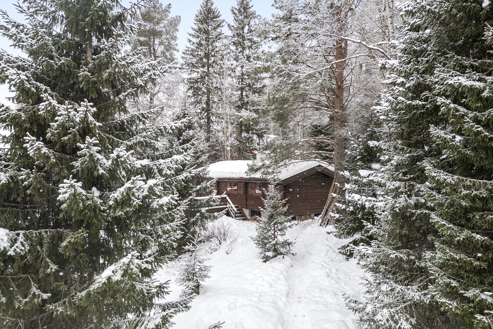Fra hytta er det ca. 100 meter til nærmeste oppkjørte skiløype, så her kan du spenne på deg skiene og legge ut på tur rett fra døren. Galleribilde
