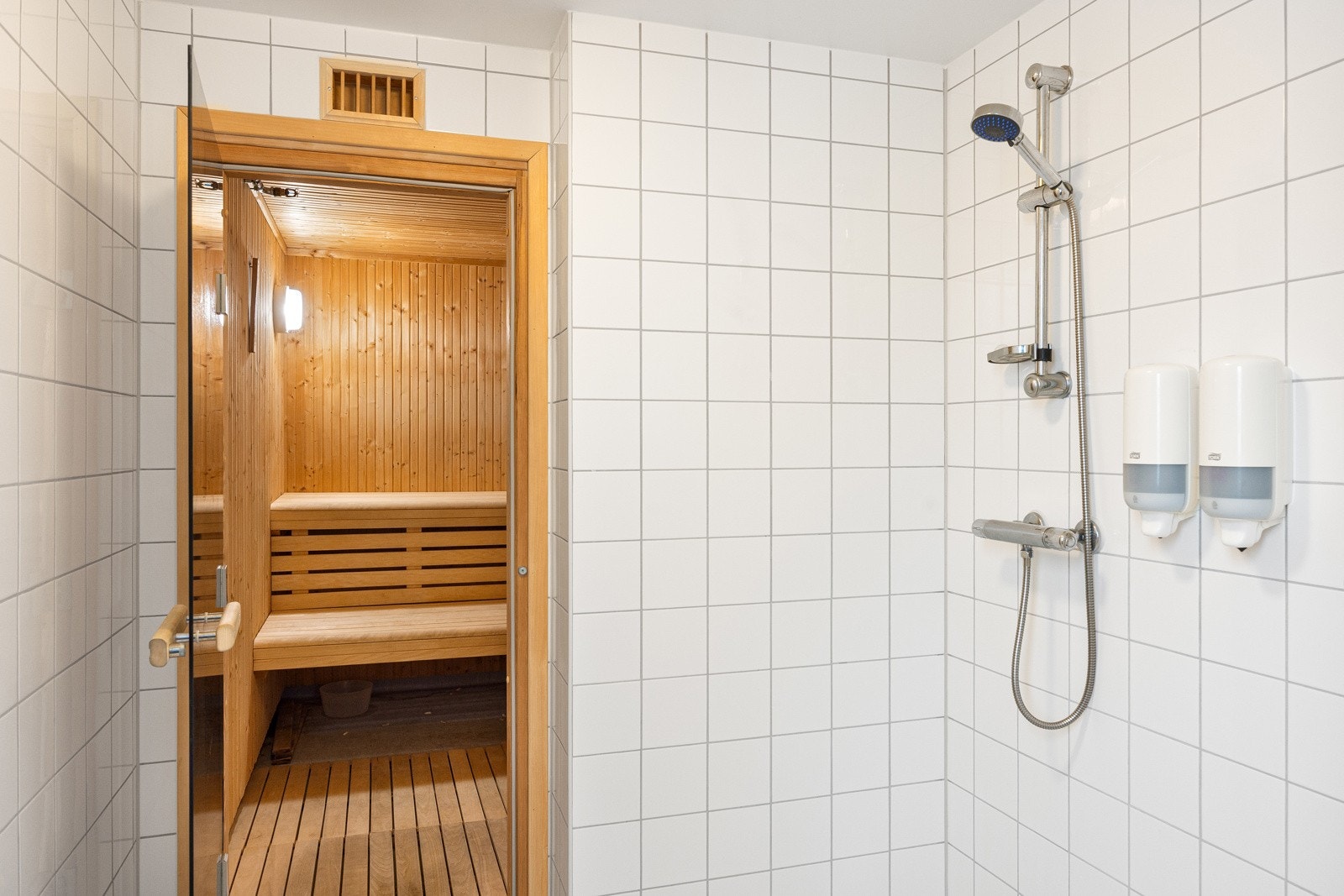 - Veldrevet gård med felles badstu med dusj - Galleribilde