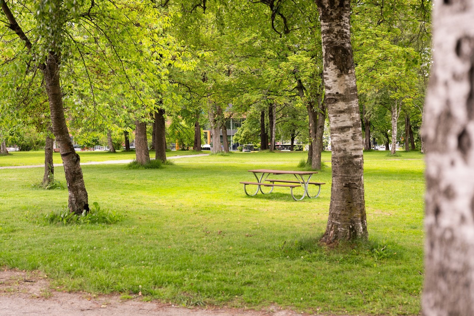 Like i nærheten finner man flere store parkområder, perfekt for sommerhalvåret med grilling og soling. Galleribilde