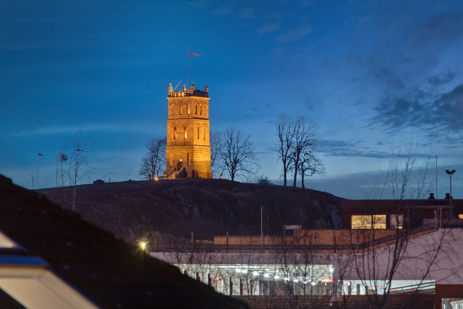 Slottsfjellet Galleribilde