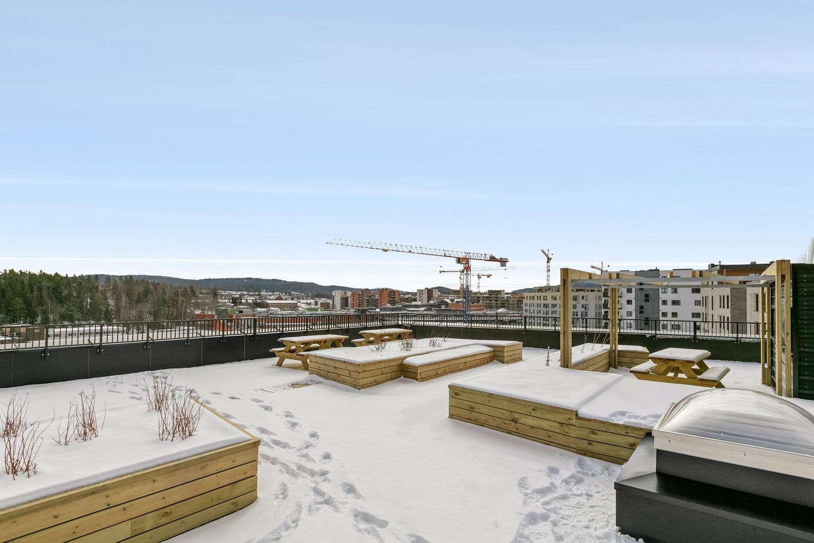 Felles takterasse. Galleribilde