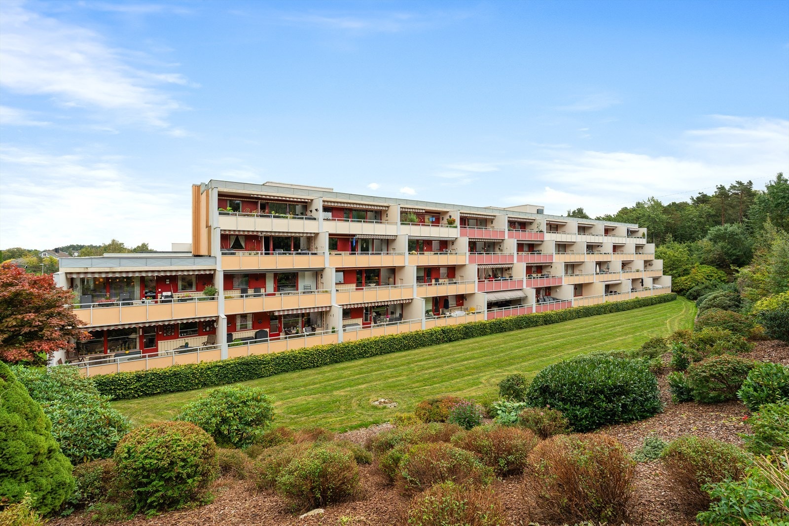 Borettslaget har flere flotte fellesområder med plen, hekk, beplantning, interne gangstier, lekeplass og sittebenker. Det finnes også en større gjesteparkeringsplass med el-bil lader. Det finnes også et eget hotellrom som kan leies at beboerne. Galleribilde