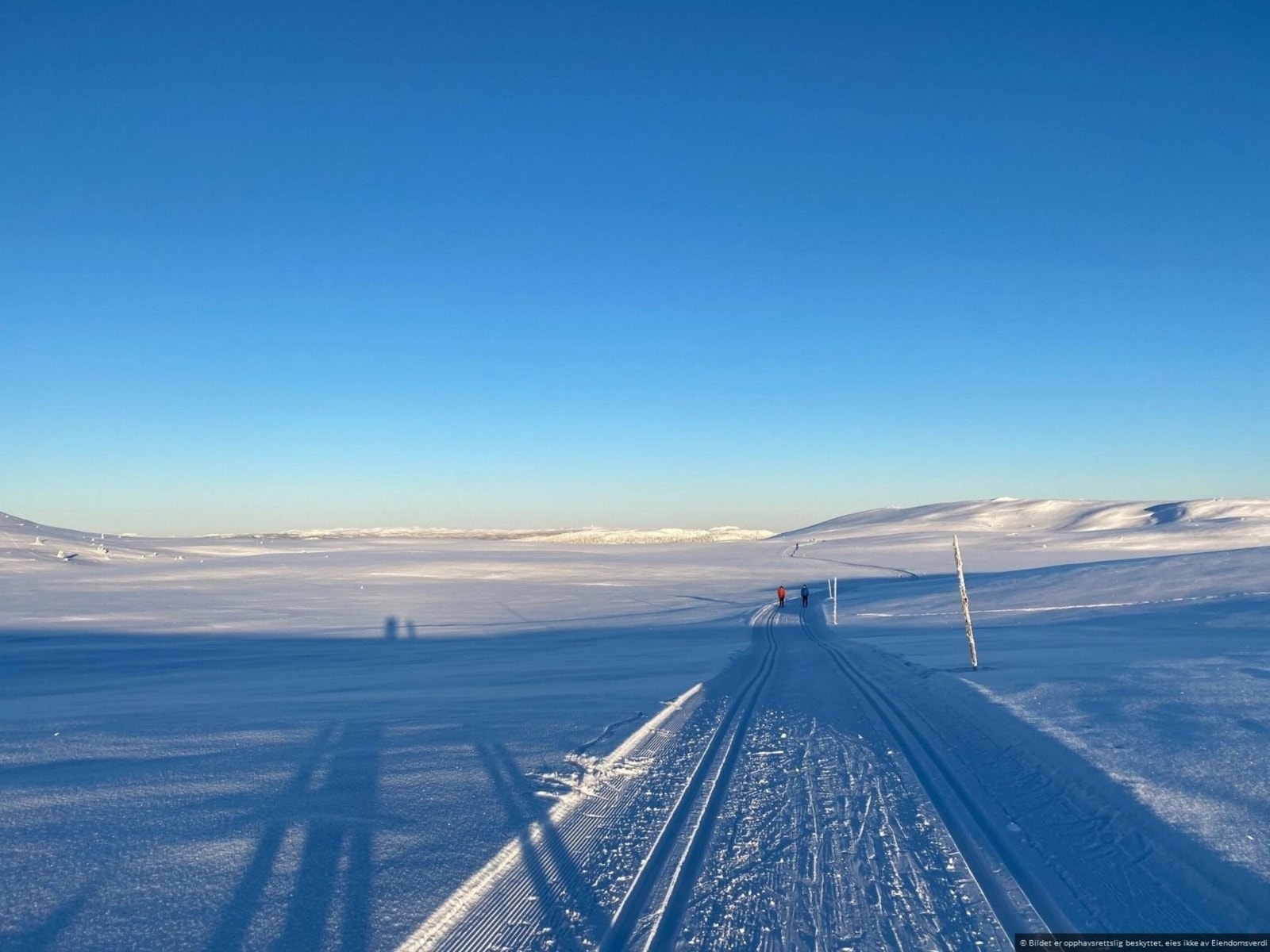 Her har du tilgang til milevis med skiløyper Galleribilde