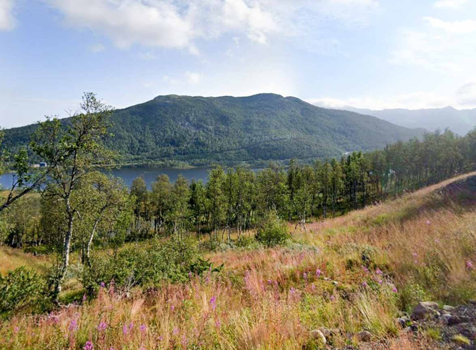 Foto fra tomt Galleribilde