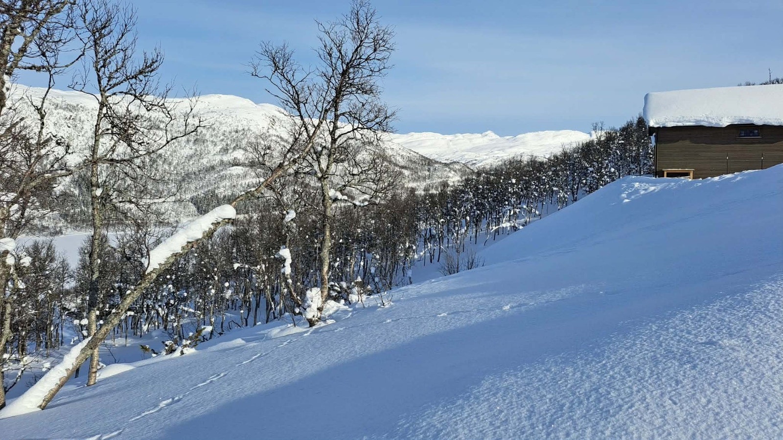 Foto fra tomt Galleribilde