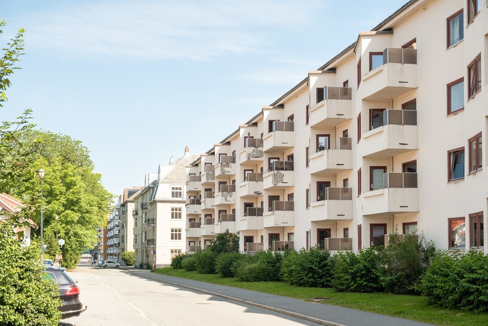 Sommerbilde. Galleribilde