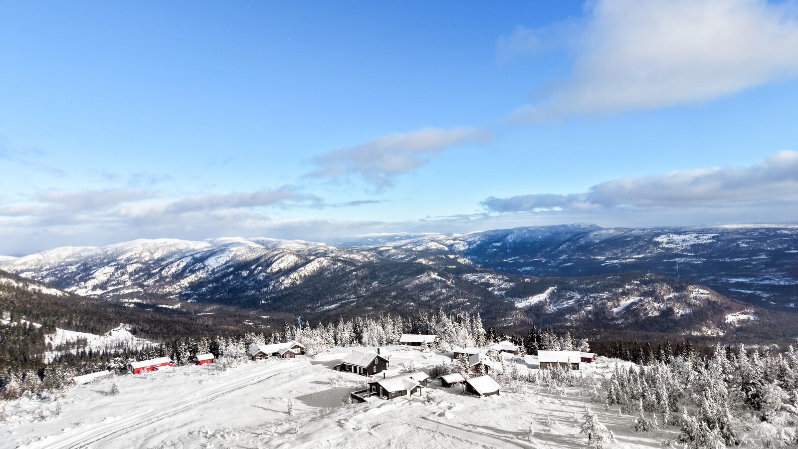 Velkommen til visning! Galleribilde