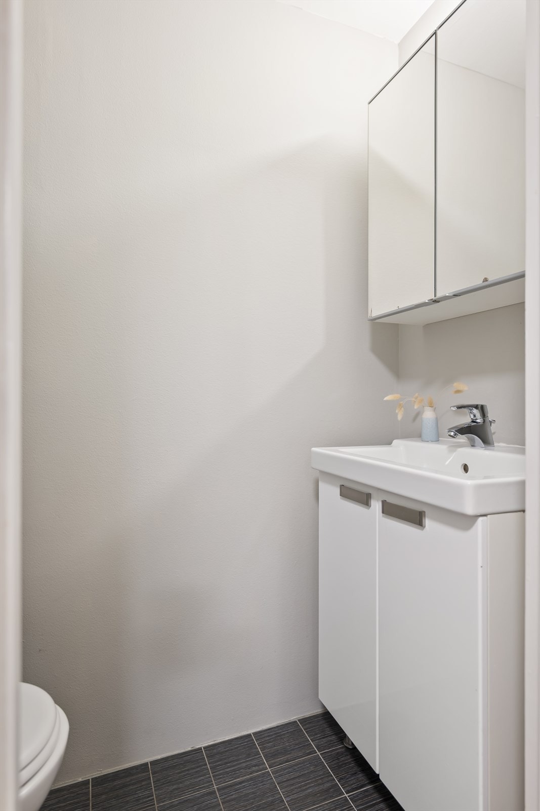 Separat toalettrom i tilknytning gang. Galleribilde