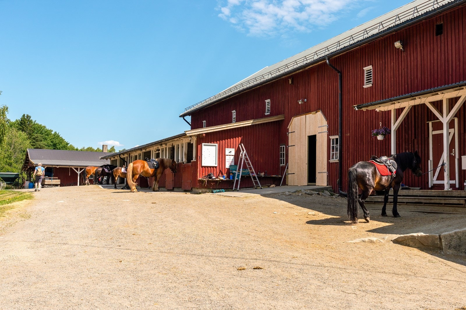 Innen gåavstand er også Ås Ga rd. En idyllisk besøksgård med dyr, grønne omgivelser og aktiviteter for hele familien. En lun og landlig oase med dyr på tunet, åpne jorder og rolig atmosfære - et lite stykke bygdeliv midt i byen Galleribilde
