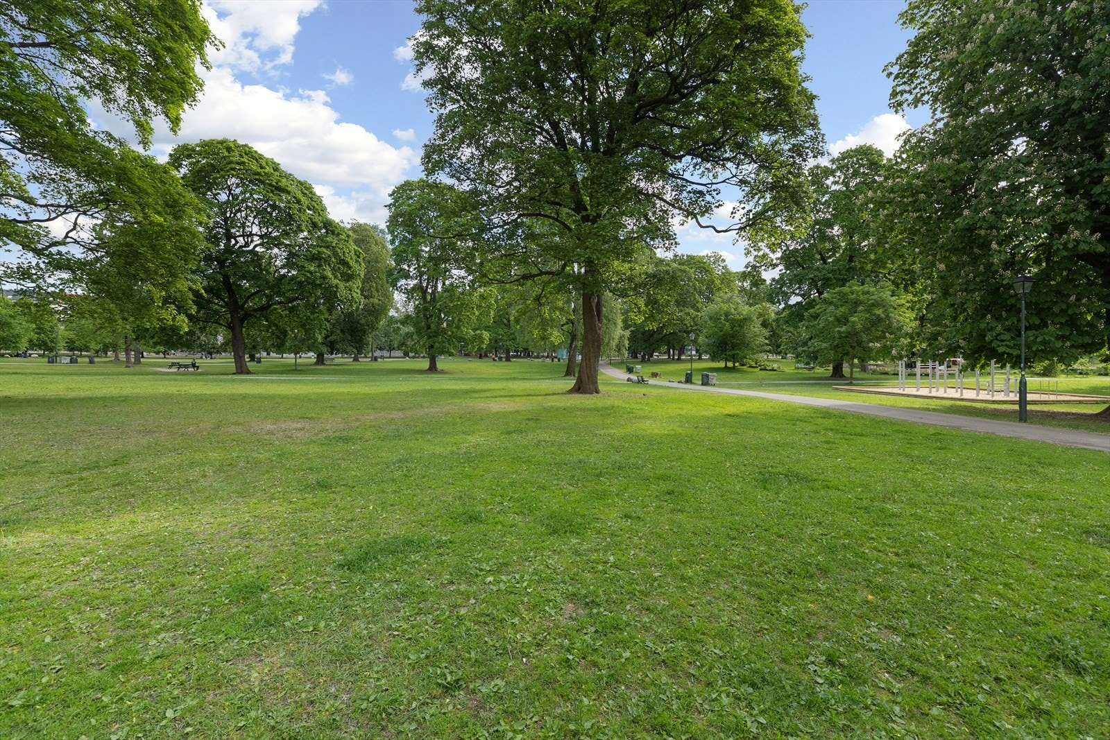 Sofienbergparken er et populært møteområde - med turstier, treningsanlegg og konserter om sommeren Galleribilde