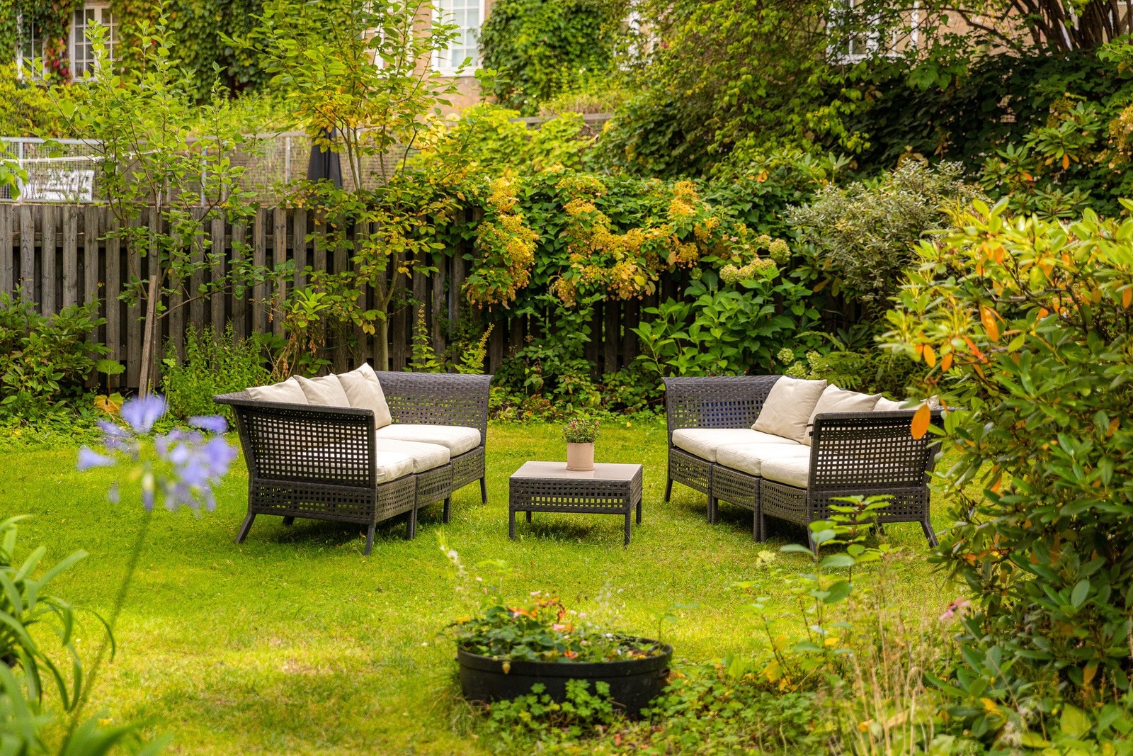 Bakgård. Galleribilde