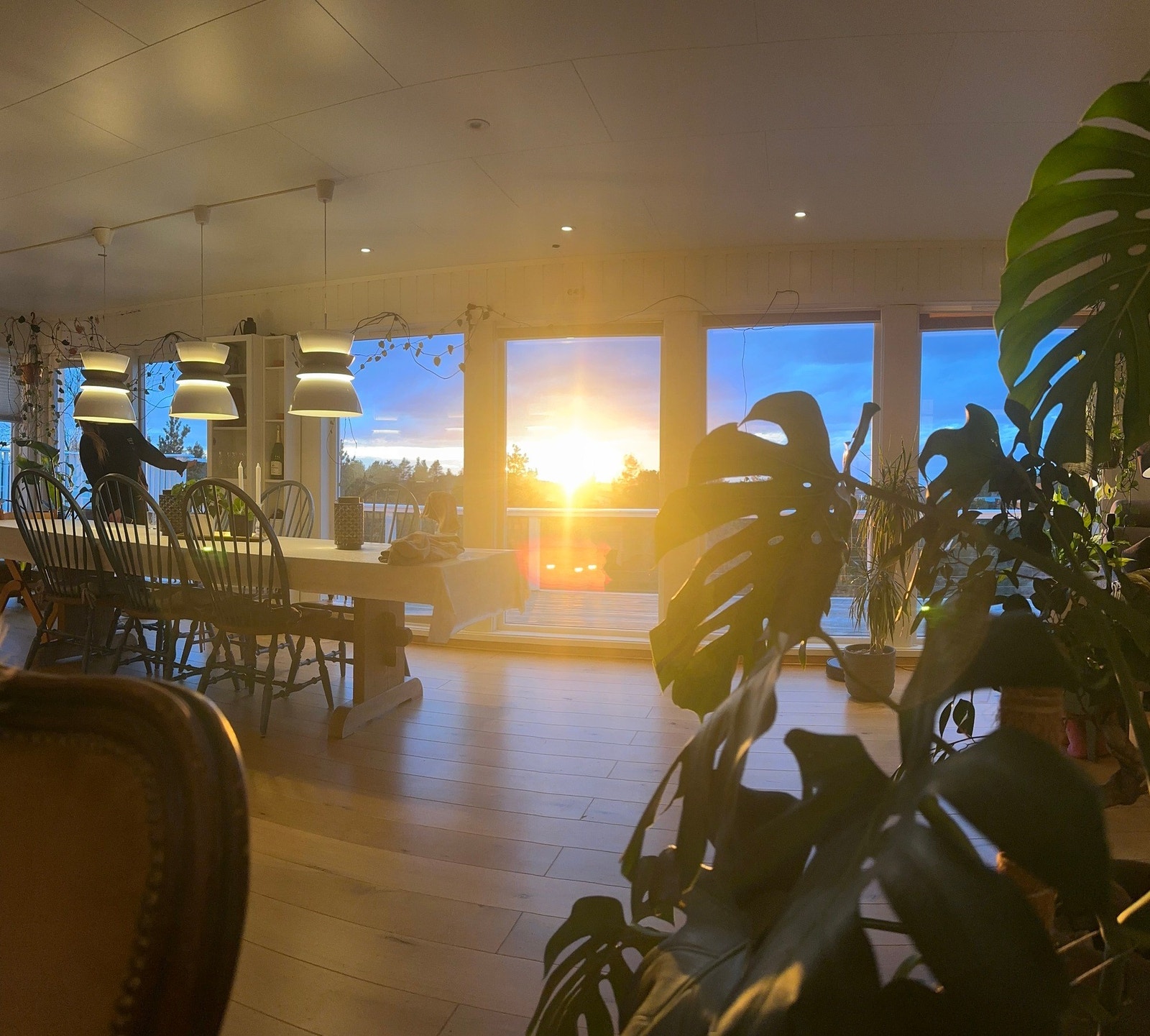 Sommer/stemningsbilder ( foto privat) Galleribilde