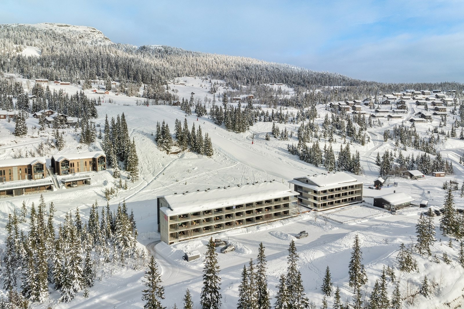 Fra leiligheten er det kort vei til servicefasiliteter som kafé og skiutleie i anlegget. Galleribilde