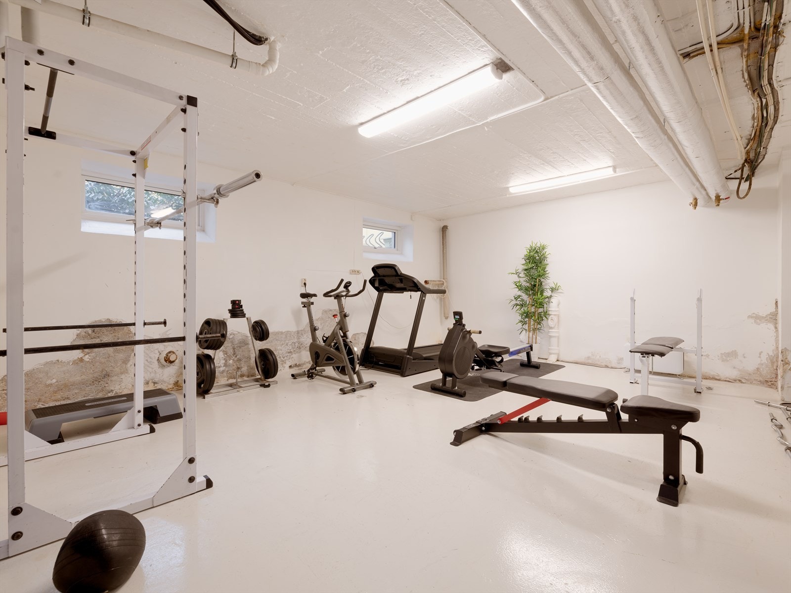 Aksjelaget har eget treningsrom! Galleribilde